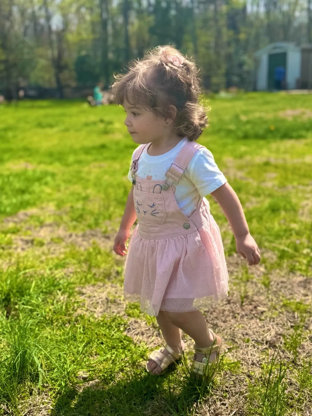 OshKosh B'gosh Light Pink Tulle Overall Dress with bunny tail